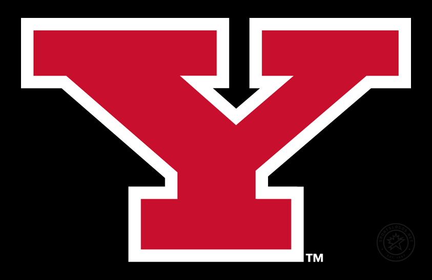 Youngstown State Penguins 2007-Pres Alt on Dark Logo diy iron on heat transfer